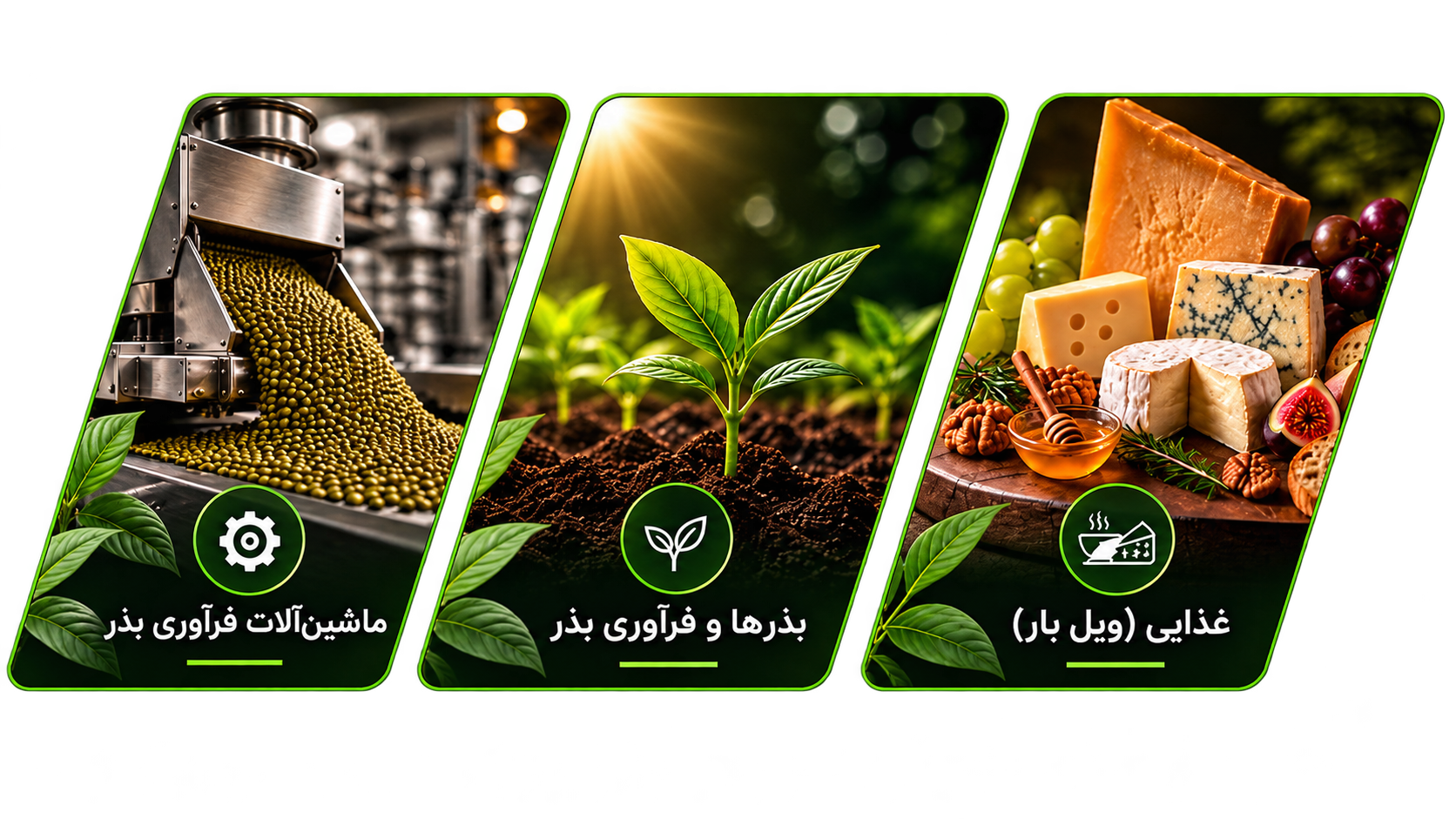 حوزه‌های فعالیت آرنا توسعه پایدار